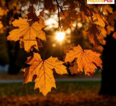 Después del lunes frío, vuelven a subir las temperaturas en Salta