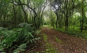 La riqueza natural de Salta posiciona a la provincia entre las principales referentes del país