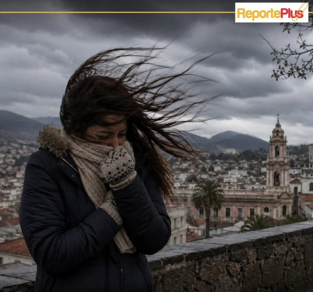 Alerta por viento fuerte y mucho frío en Salta
