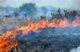 Peligro extremo de incendios en Salta: qué sanciones prevé la ley para quienes provoquen fuego