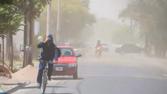 Alerta amarilla por vientos intensos en Salta: las ráfagas pueden alcanzar los 100 km/h